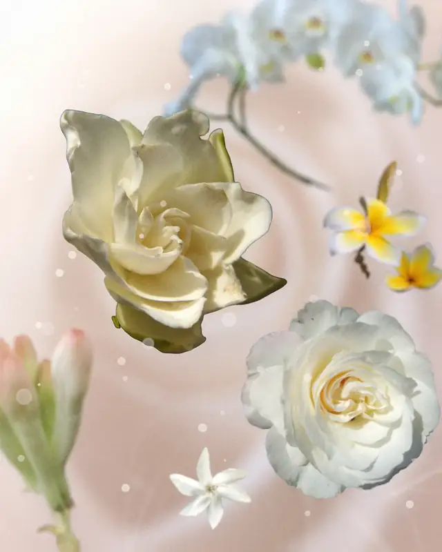 Planche : gardénia, rose blanche, tubéreuse et voiles légers en suspension